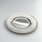 Silver textured plate on a light gray background
