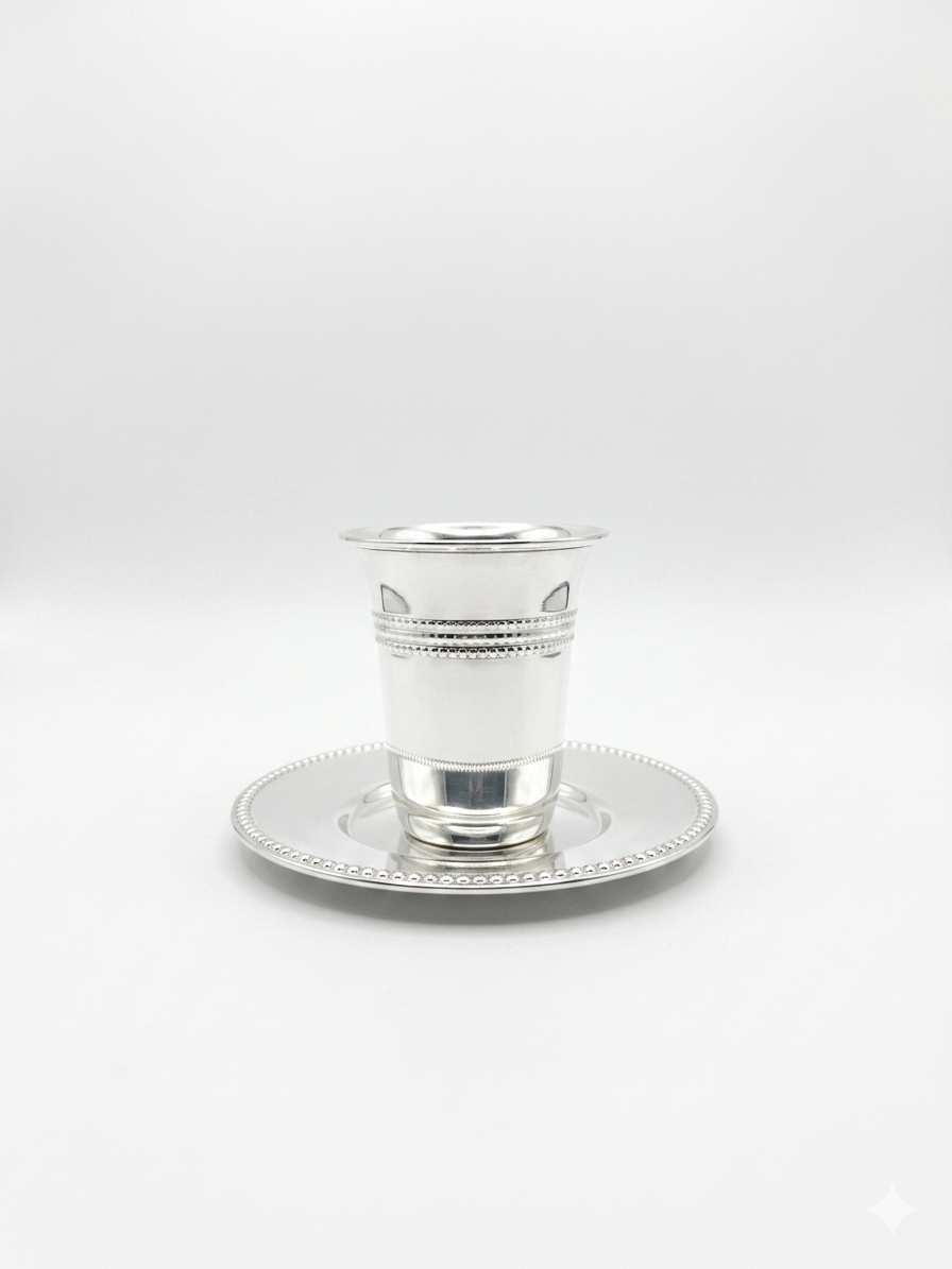 Silver cup and saucer set on a white background